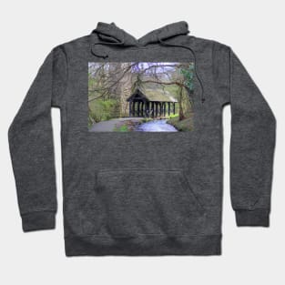 Covered Walkway II Hoodie